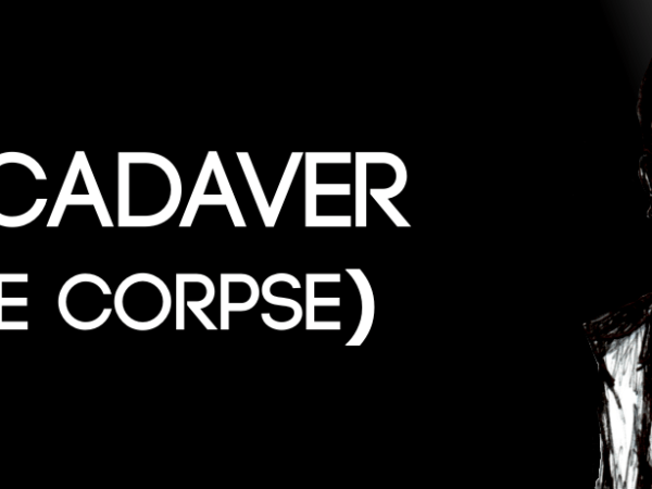 El cadaver ahora en Tapas